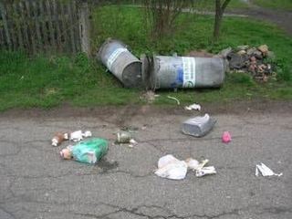 Wandal zdemolował pół miasta