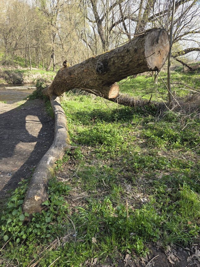"Tona śmieci"... Wzięli sprawy w swoje ręce