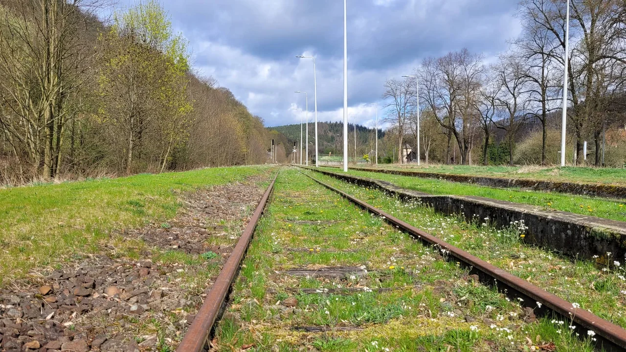 Wycinka pod tory – kurs na rewitalizację linii