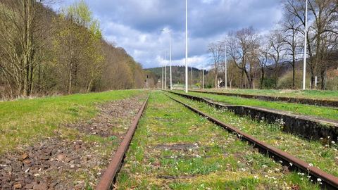 Wycinka pod tory – kurs na rewitalizację linii
