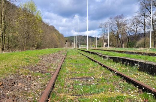 Wycinka pod tory – kurs na rewitalizację linii