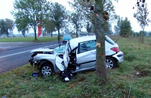 Masakra piłą mechaniczną przy drogach
