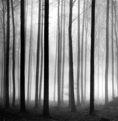 Karkonosze w kadrach jeleniogórskich fotografików