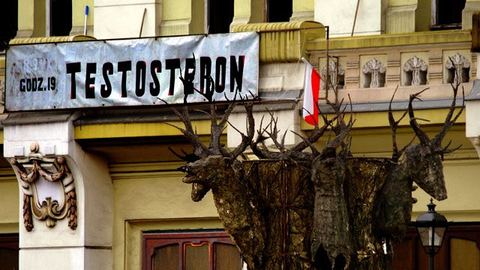 Testosteron wszedł na afisze dopiero pod koniec kwietnia.