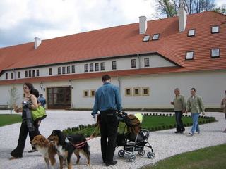 Pałac powstał z ruin