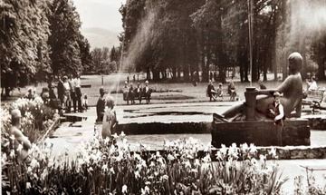 Wyczyszczony Park Zdrojowy