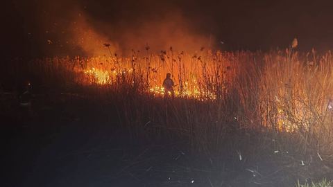 Brutalne statystyki. Już 70 pożarów lasów w tym roku