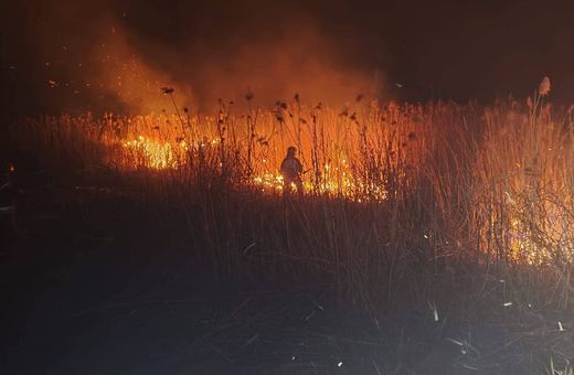 Brutalne statystyki. Już 70 pożarów lasów w tym roku