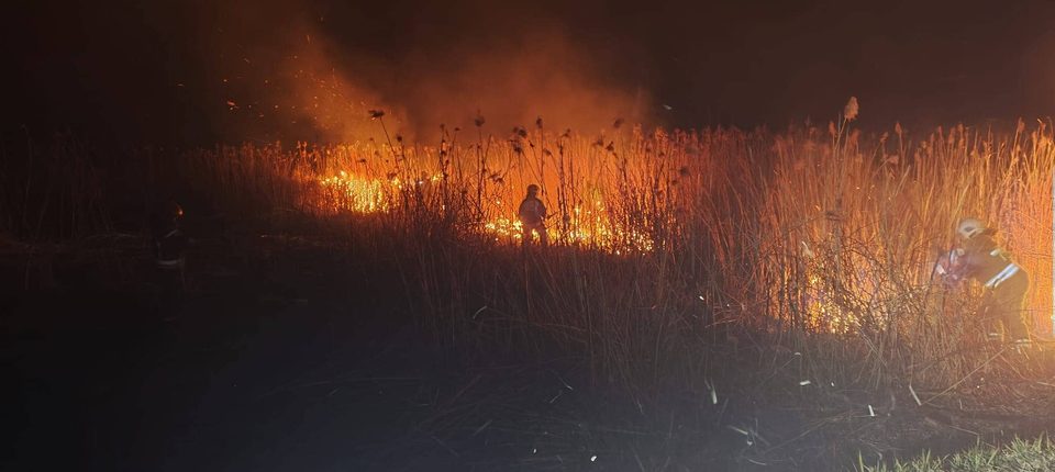 Brutalne statystyki. Już 70 pożarów lasów w tym roku