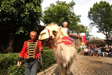 Parafia pozytywnie zakręcona rozbawiała śródmieście