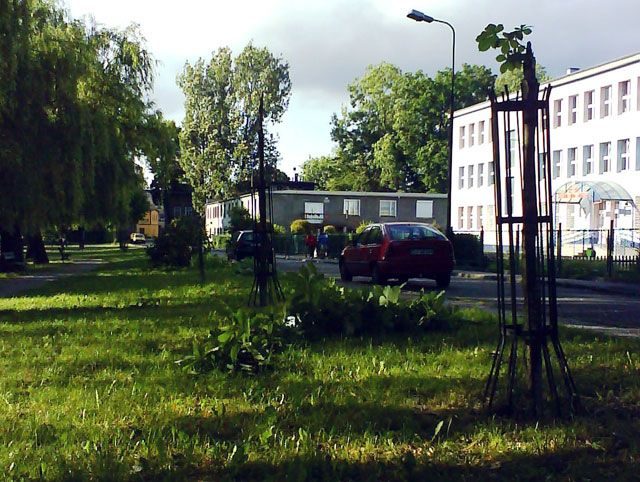 Masakra kasztanowców na skwerku