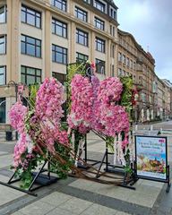 Festiwal Kwiatów na Zamku Książ