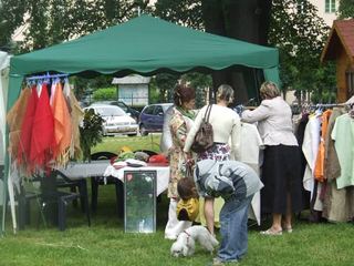 Stoją lnem i Boney M
