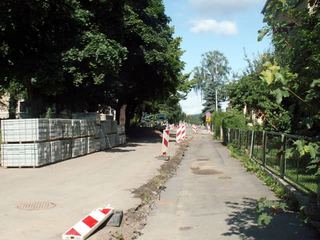 Mord na drzewach w biały dzień