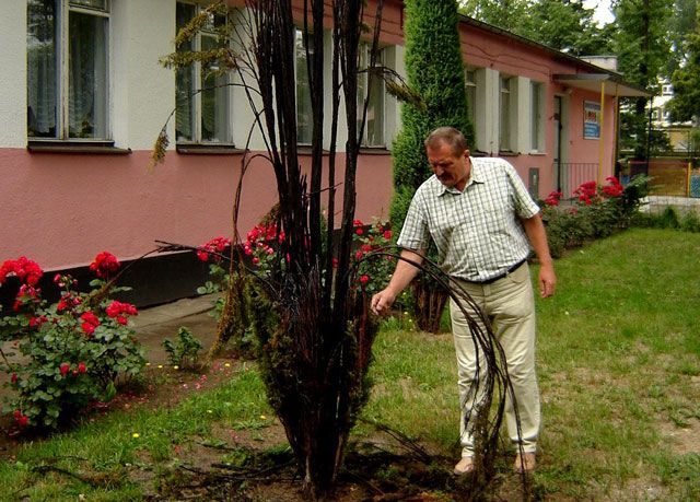 Chuligani i wandale zmorą dzierżawców
