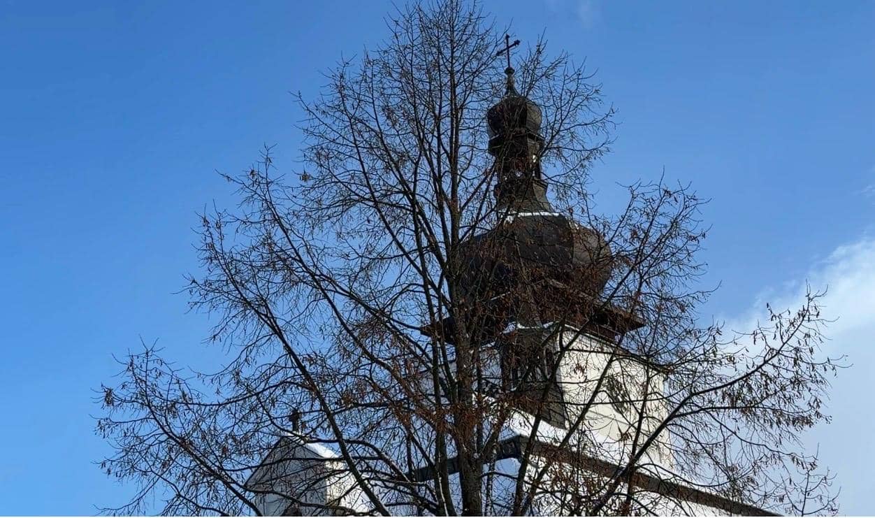 Dziwiszowianki kolędowały w Czechach