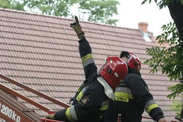 Po akcji mieszkańców i dziennikarzy szpak uratowany