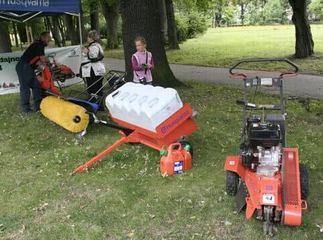 Koszenie i piłowanie w parku