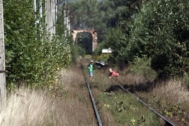 Igranie z nieszczęściem na torowisku