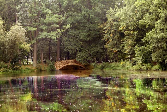 Staw w Parku Norweskim będzie jak nowy