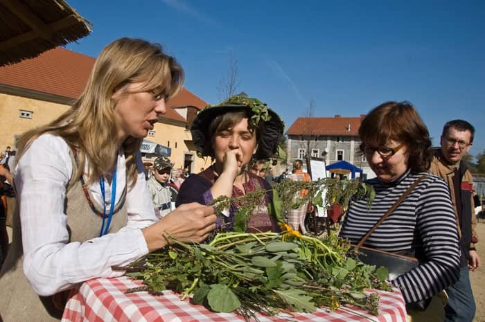 Kolorowe dożynki w pałacowych klimatach