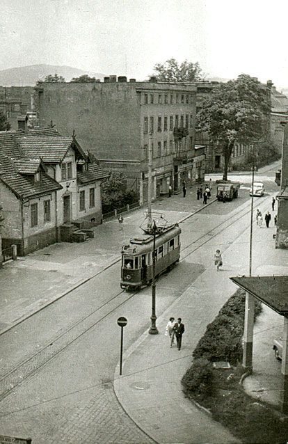 Fotozagadka Jelonki
