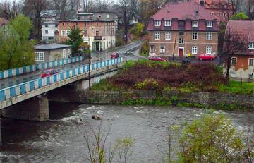 Miłośnicy zwierząt uratują kaczkę?