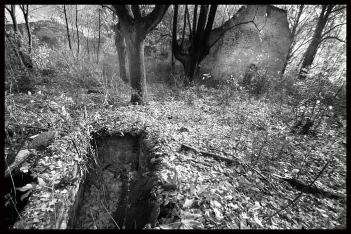 Ocalić od zapomnienia