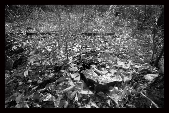 Ocalić od zapomnienia