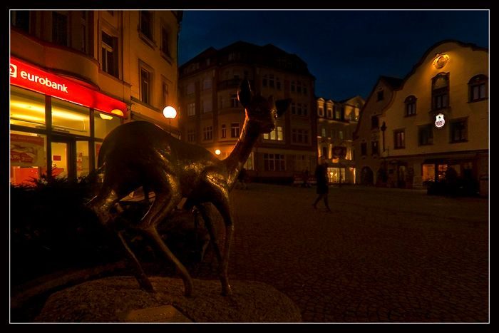 Jelonek w scenerii grudniowego wieczoru.