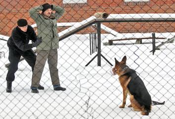 Akademia policyjna w natarciu