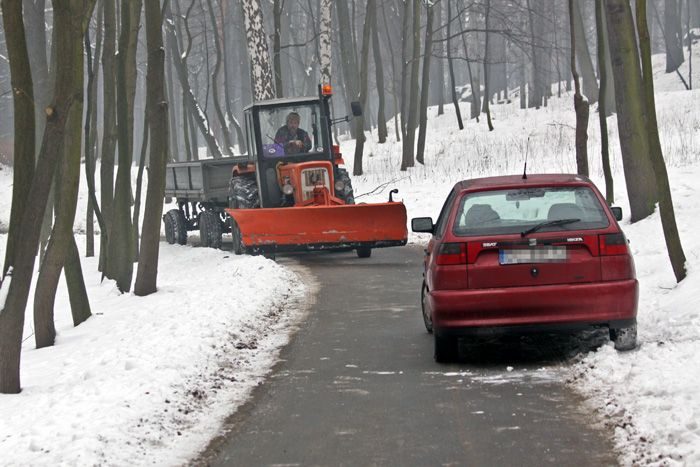 Park wzorowo odśnieżony, a miasto?