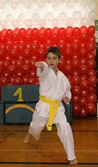 Trzydziestolecie shotokan w Kowarach
