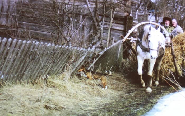 Podróż sentymentalna nie tylko śladami wieszcza