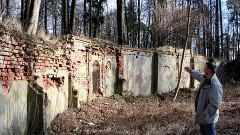 Parkowe niebezpieczeństwo wisi na włosku