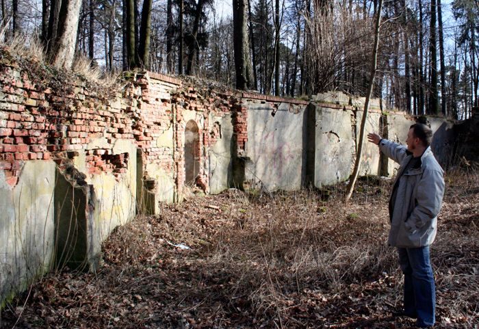 Parkowe niebezpieczeństwo wisi na włosku