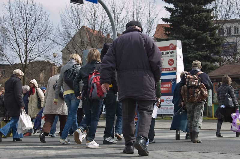 Zielone światło? Sprintem przez pasy!