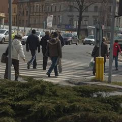Zielone światło? Sprintem przez pasy!