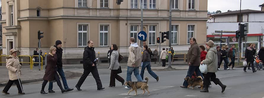 Zielone światło? Sprintem przez pasy!