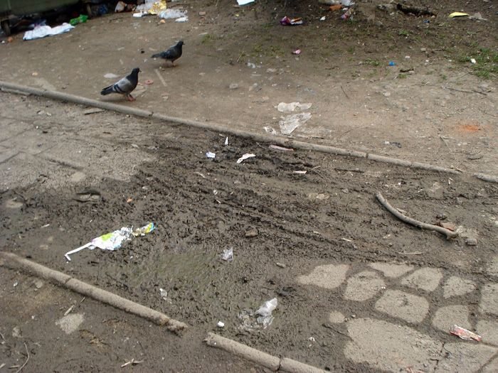 Skazani na podwórkowe śmietnisko
