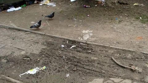 Skazani na podwórkowe śmietnisko