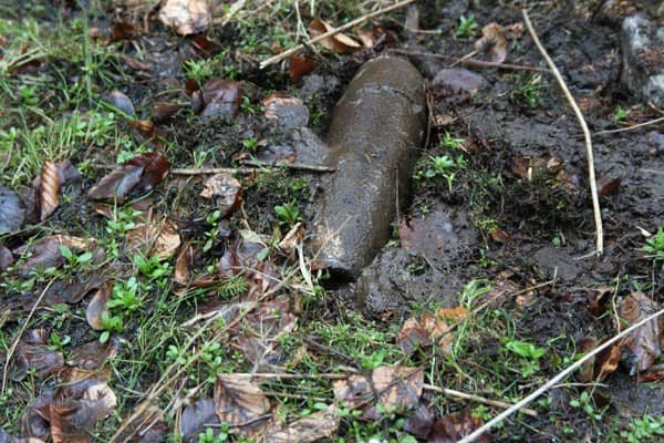 Niewypały w „sowieckich dołach”