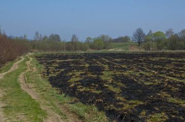 Spłonęło około 15 hektarów nieużytków