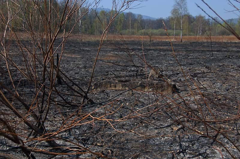 Spłonęło około 15 hektarów nieużytków