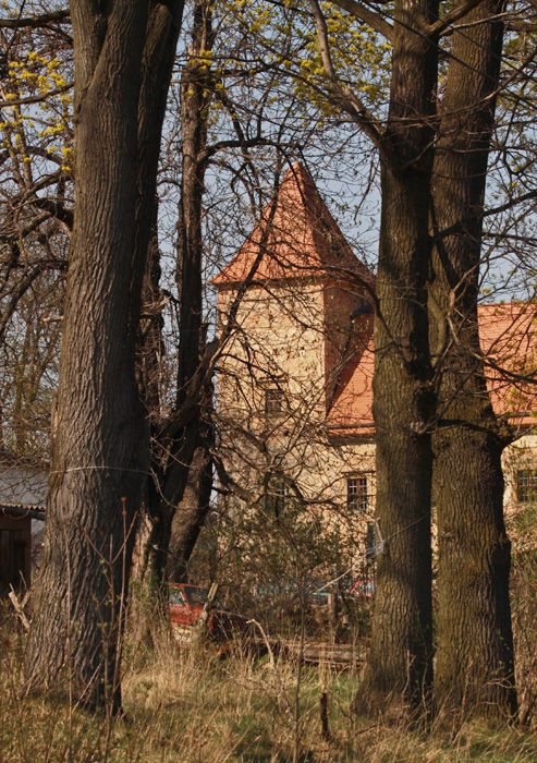 Japońskie wizje z Dworu Czarne