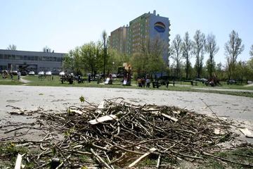 Ścinka przy placu zabaw