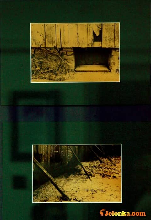 Krzysztofa Zwolińskiego fotografie osobiste