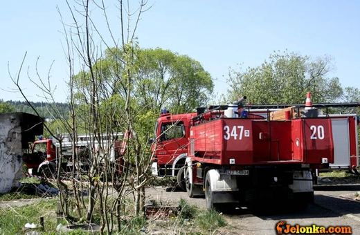 Zator z powalonej wierzby groził podtopieniem