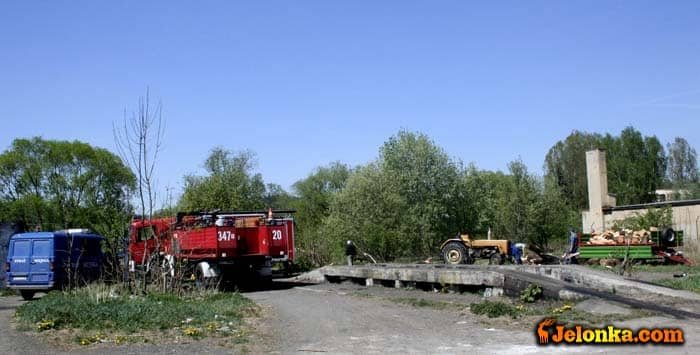Zator z powalonej wierzby groził podtopieniem