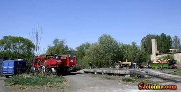 Zator z powalonej wierzby groził podtopieniem